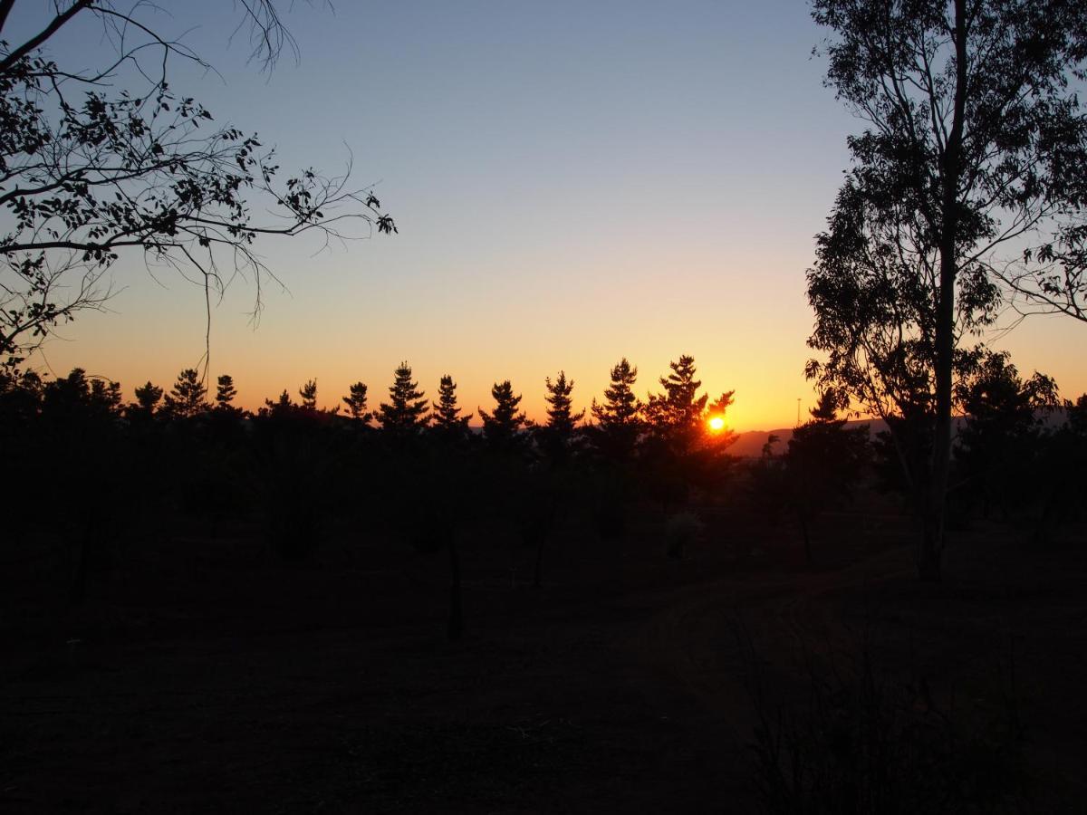 Casa Mayoral B&B Pet Friendly Valle de Guadalupe Exterior photo