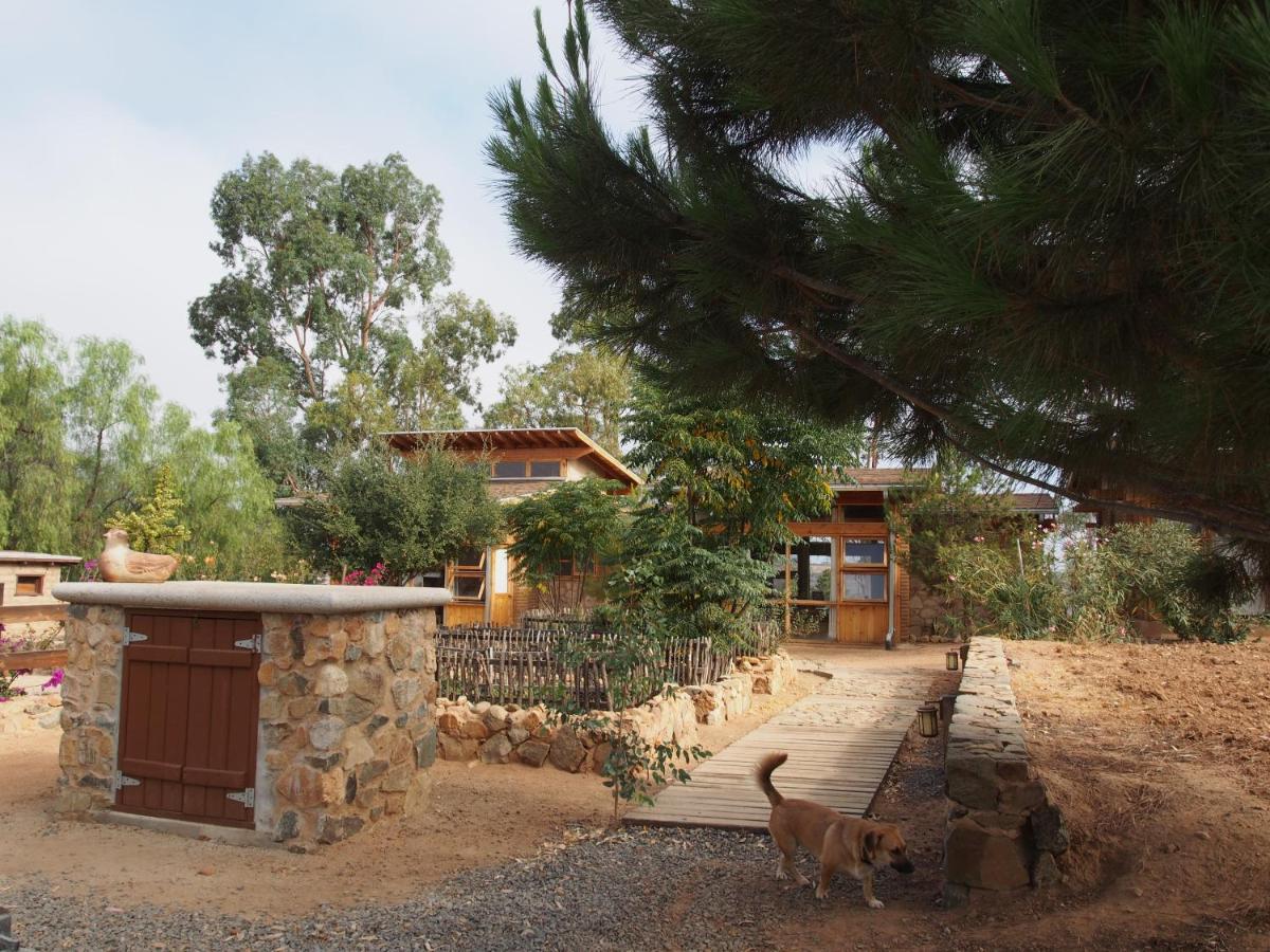 Casa Mayoral B&B Pet Friendly Valle de Guadalupe Exterior photo